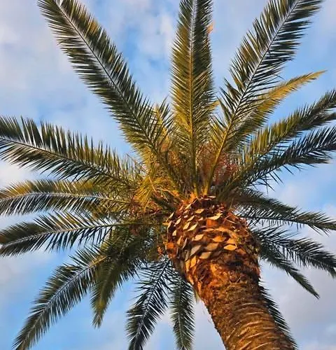 Stone House * Kavala