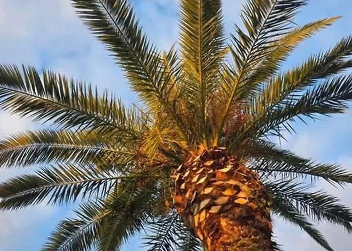 Daire Stone House Kavala