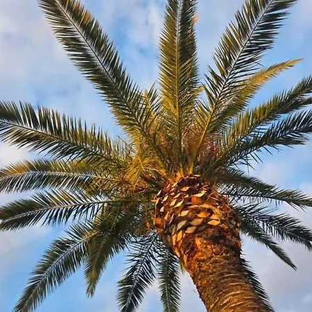 Апартаменты Stone House Кавала